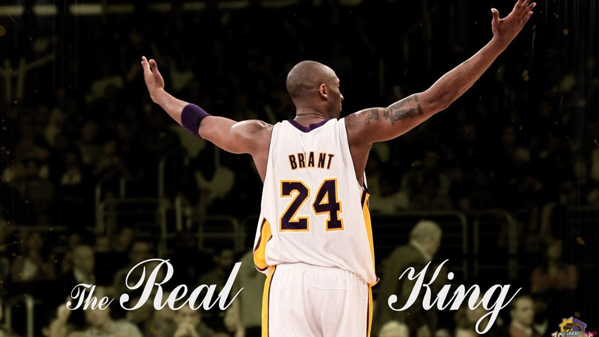 主力伤缺期间年轻球员挺身而出为球队贡献关键表现